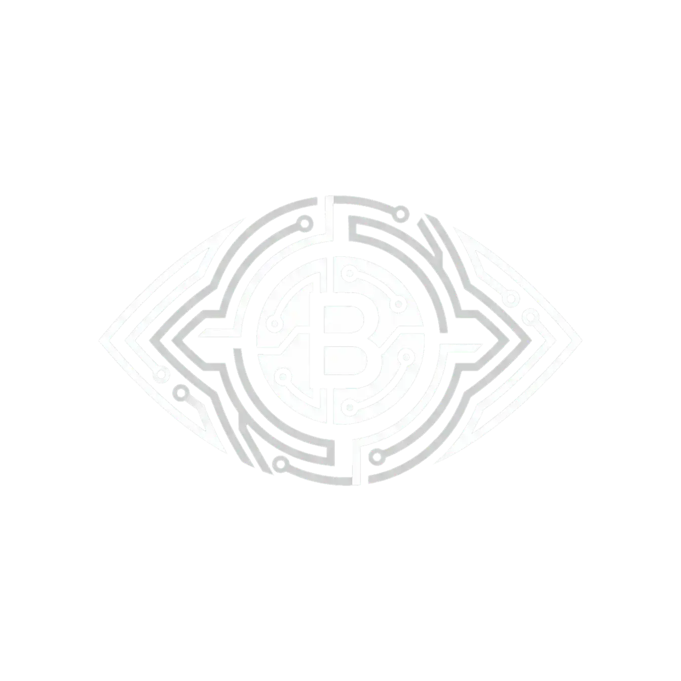 欧美区 bt - 情报机构标识